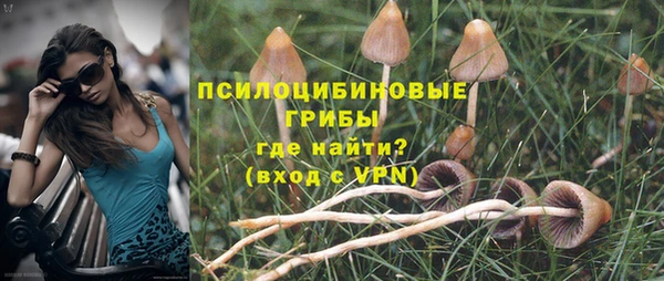 скорость Алзамай
