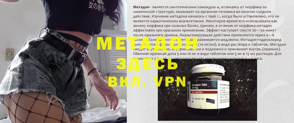 прущие грибы Алексин